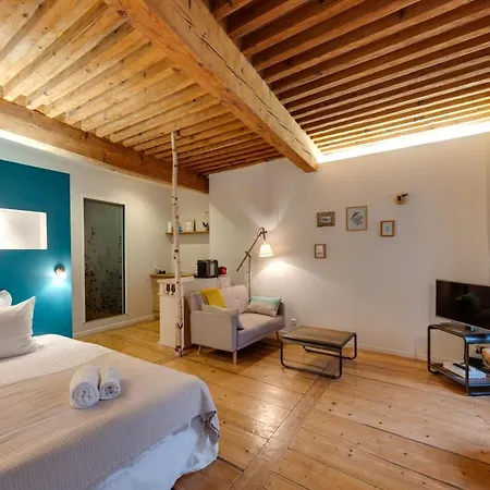 La Cour Filaterie - Of 30 Sq M In The Breakfast Included Apartment Annecy